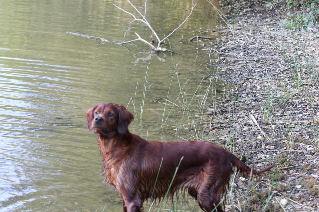 Moy Du domaine de fayet